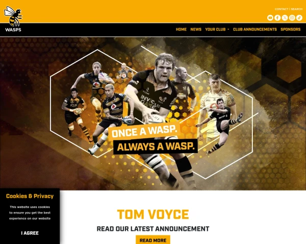 screenshot of Wasps Rugby website
