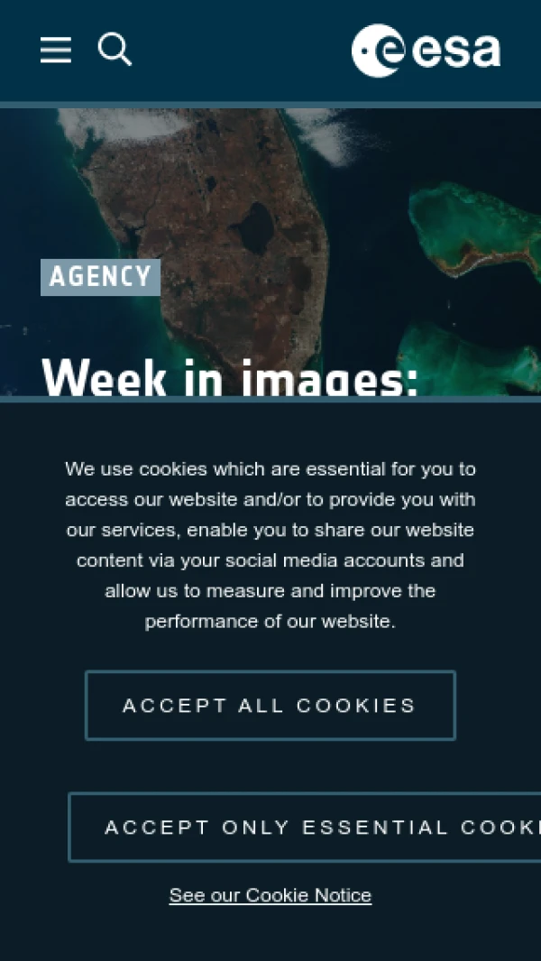 Mobile screenshot