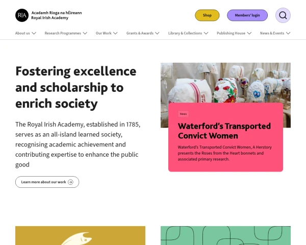 screenshot of Royal Irish Academy, Dublin website