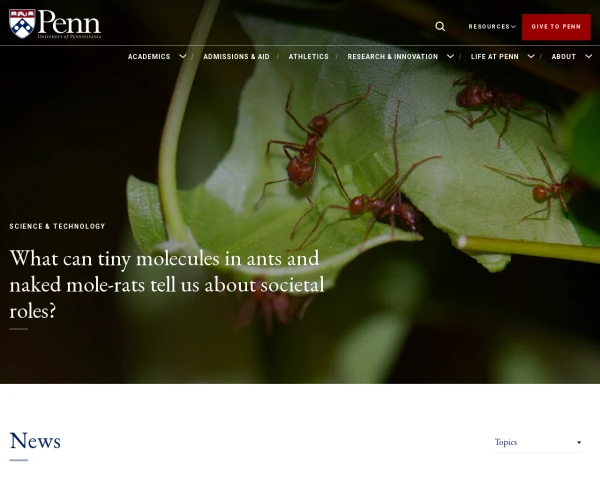 Desktop screenshot