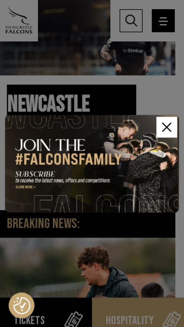 Mobile screenshot
