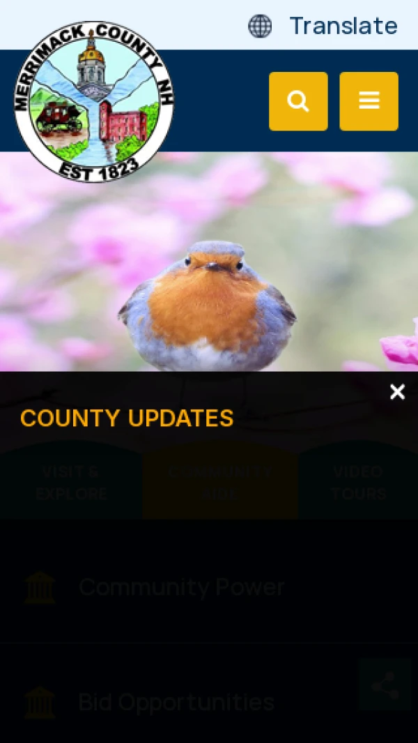 Mobile screenshot