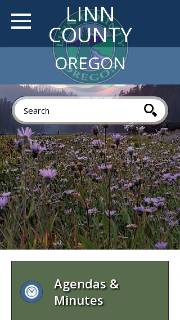 Mobile screenshot
