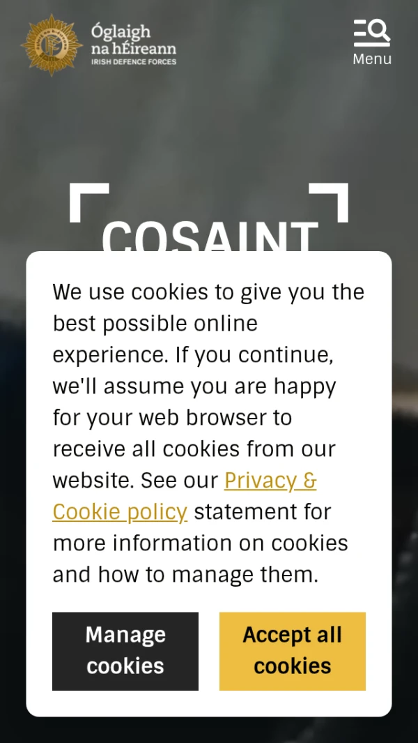 Mobile screenshot