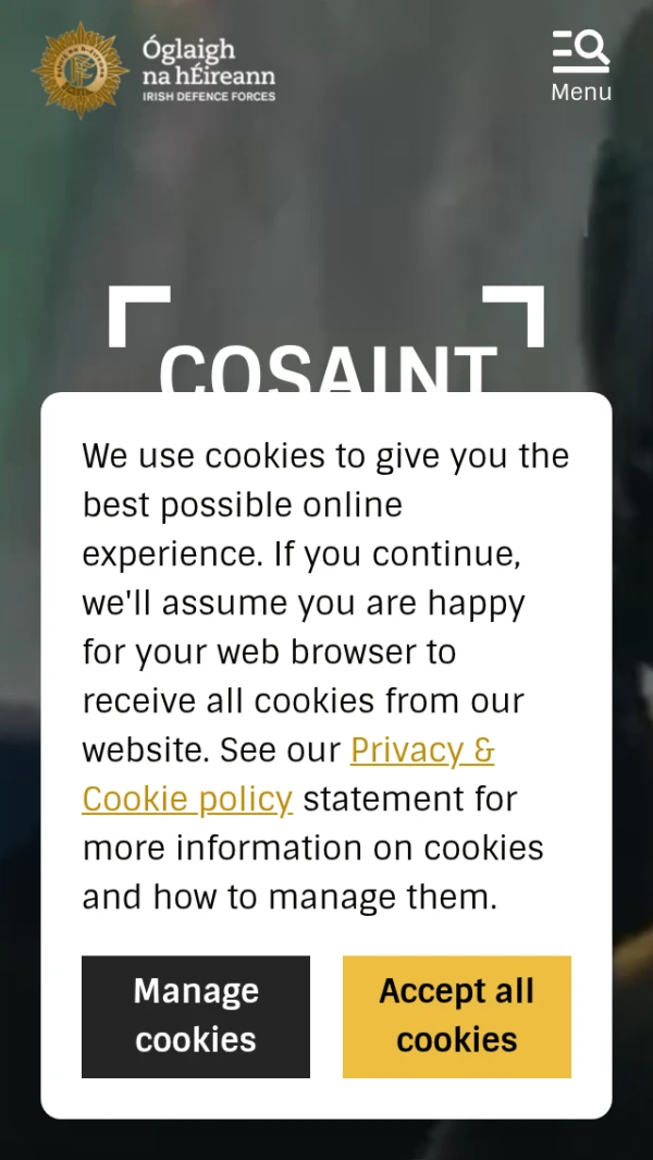 Mobile screenshot