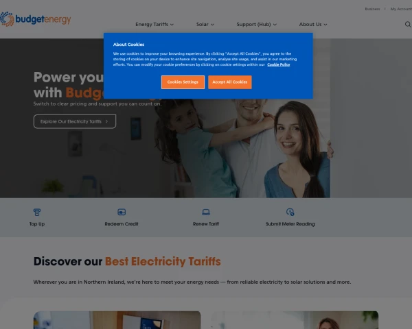screenshot of Budget Energy website