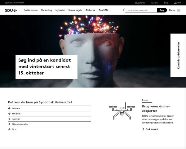 screenshot of University of Southern Denmark website