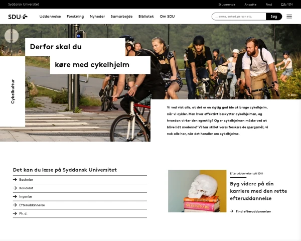 screenshot of University of Southern Denmark website