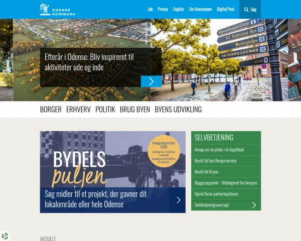 screenshot of Odense Kommune website