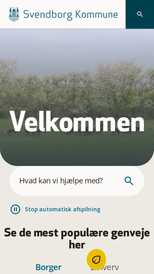 Mobile screenshot