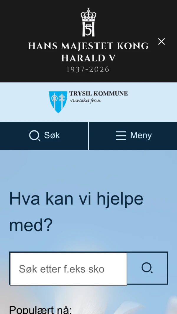 Mobile screenshot