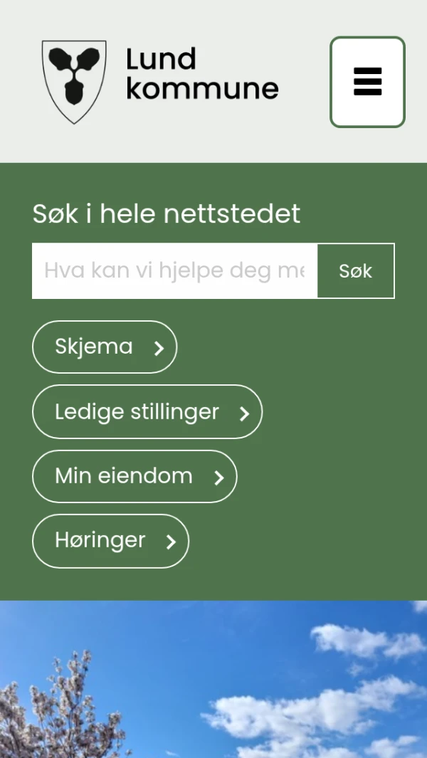 Mobile screenshot