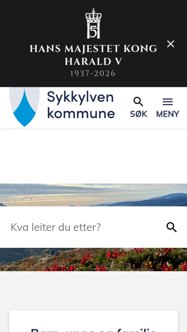 Mobile screenshot