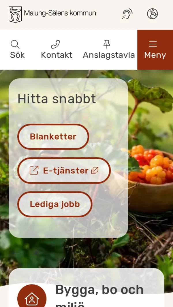 Mobile screenshot