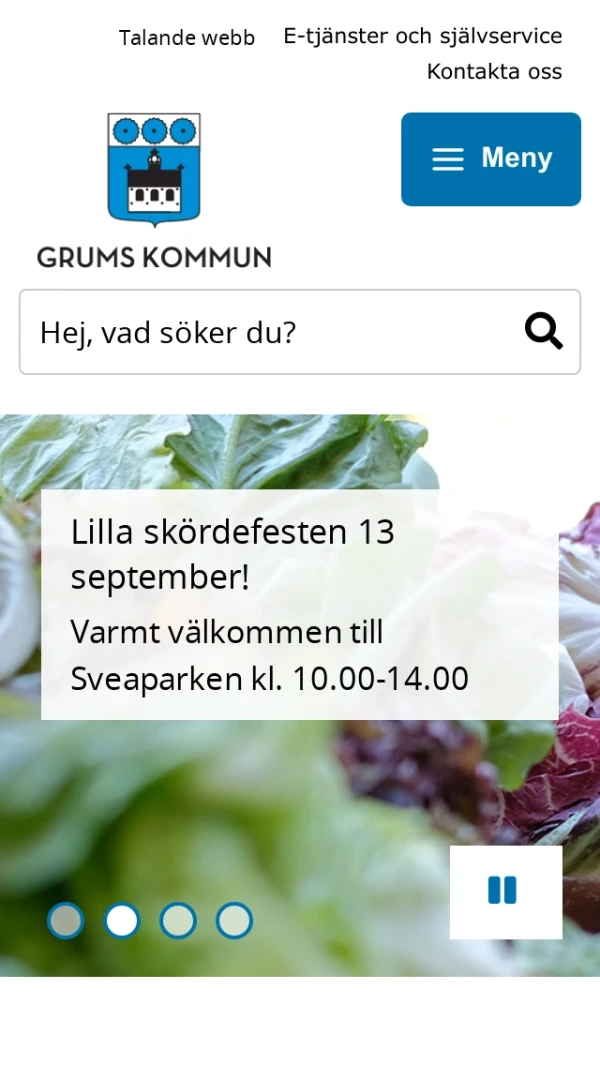Mobile screenshot