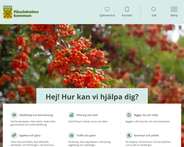 screenshot of Hässleholm website