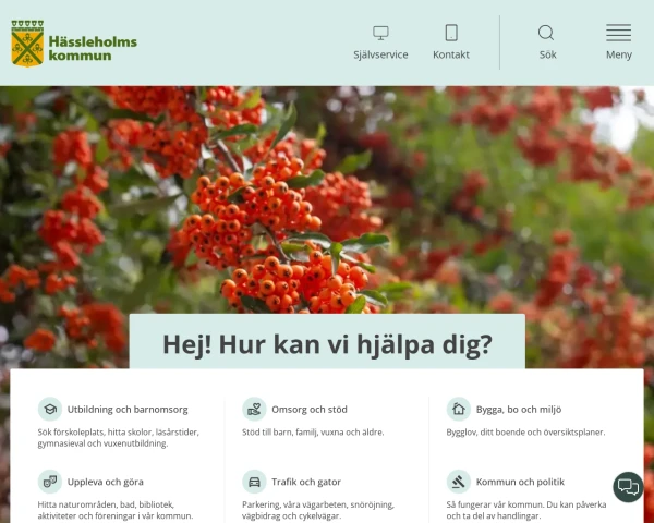screenshot of Hässleholm website