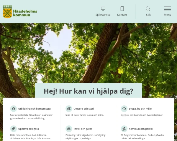 screenshot of Hässleholm website