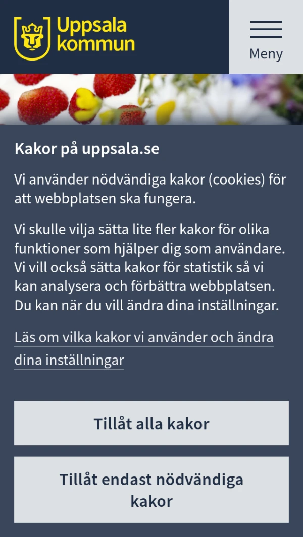 Mobile screenshot
