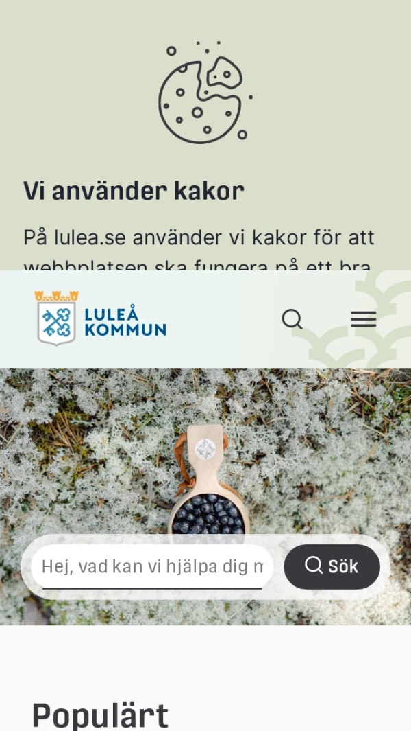 Mobile screenshot