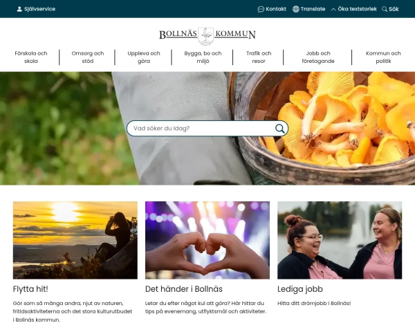 screenshot of Bollnäs website