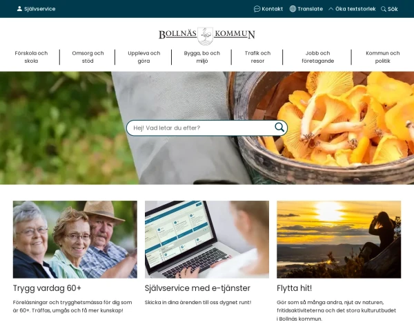 screenshot of Bollnäs website