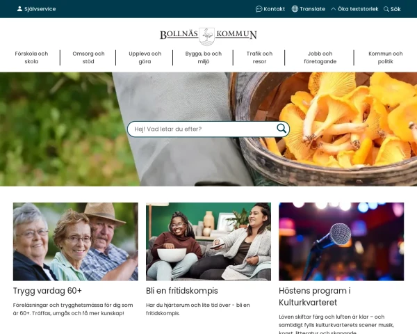 screenshot of Bollnäs website