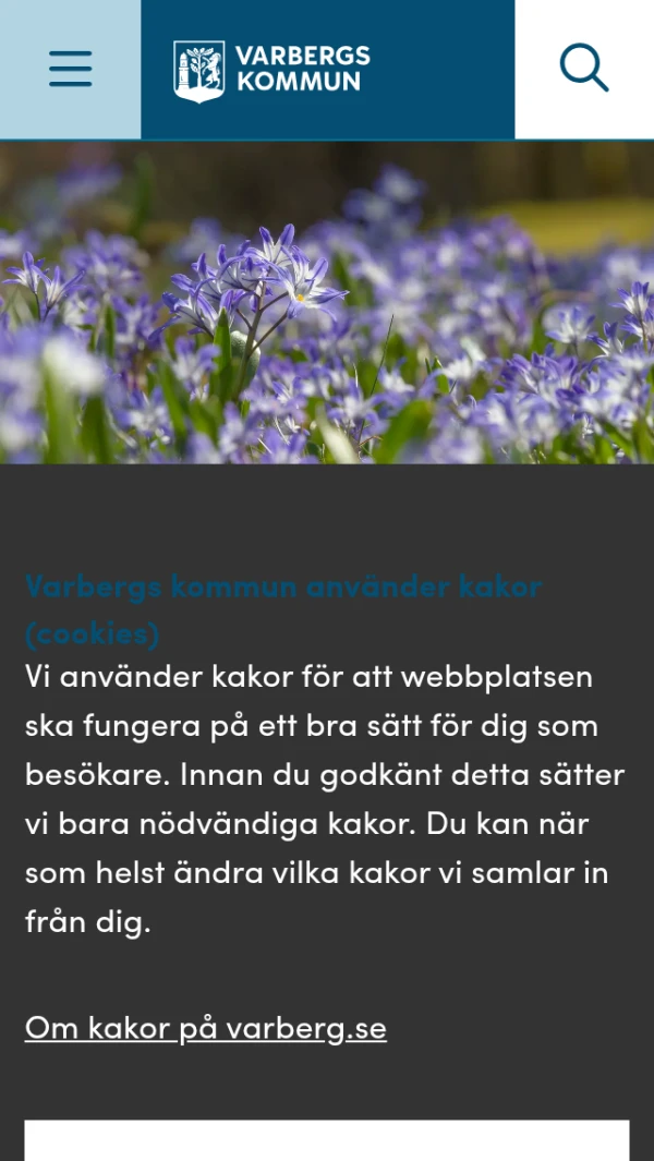 Mobile screenshot