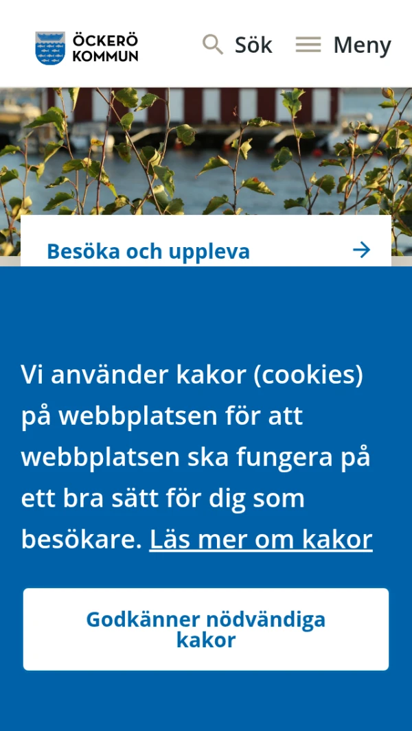 Mobile screenshot