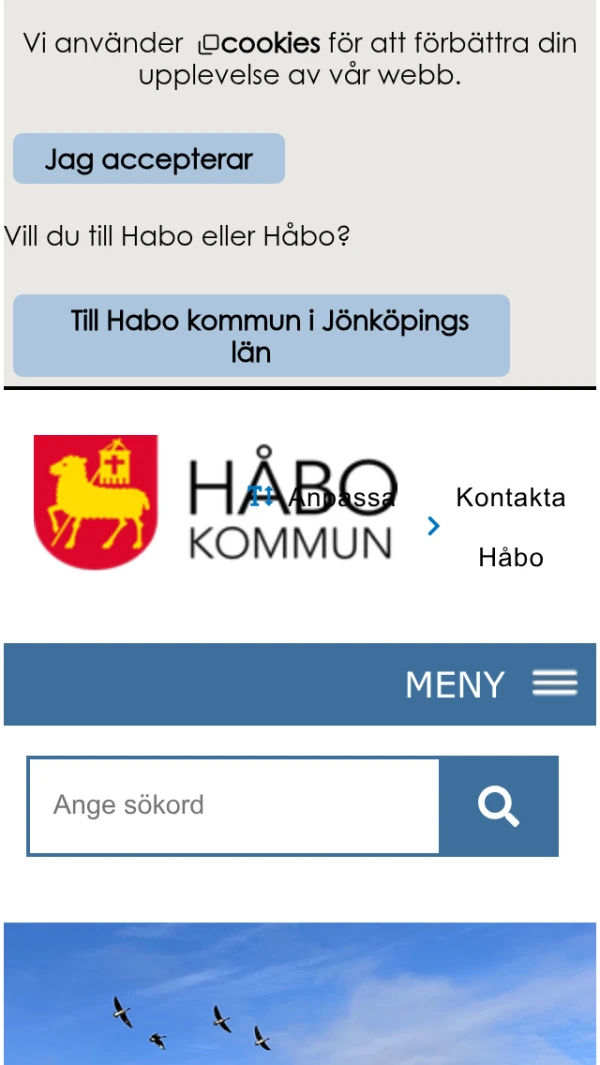 Mobile screenshot
