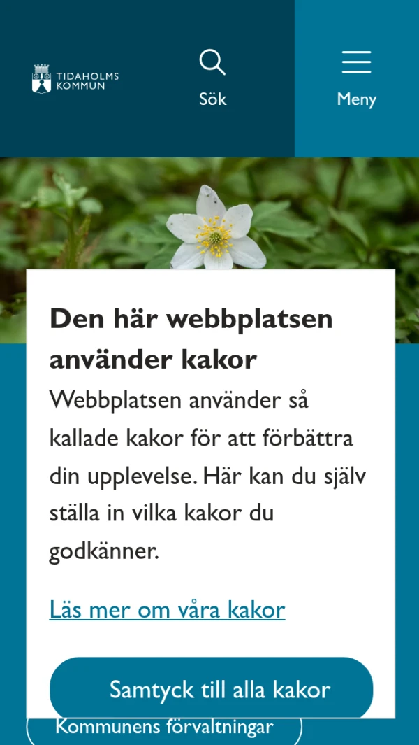 Mobile screenshot