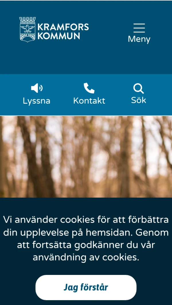 Mobile screenshot