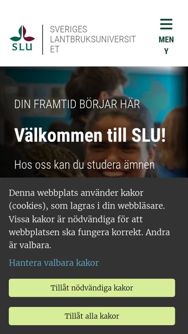 Mobile screenshot