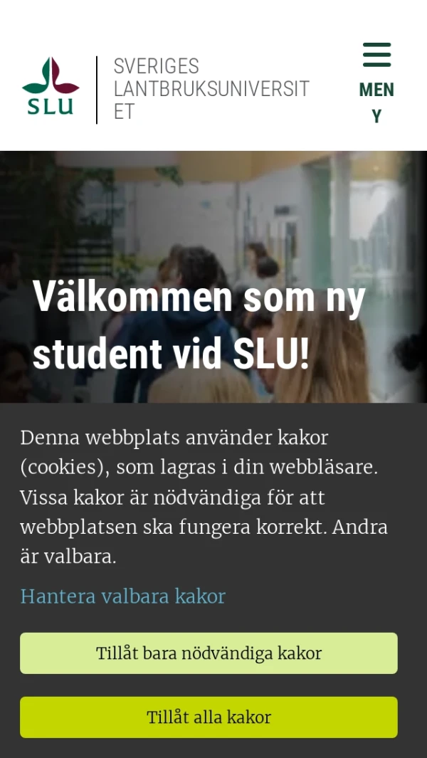 Mobile screenshot