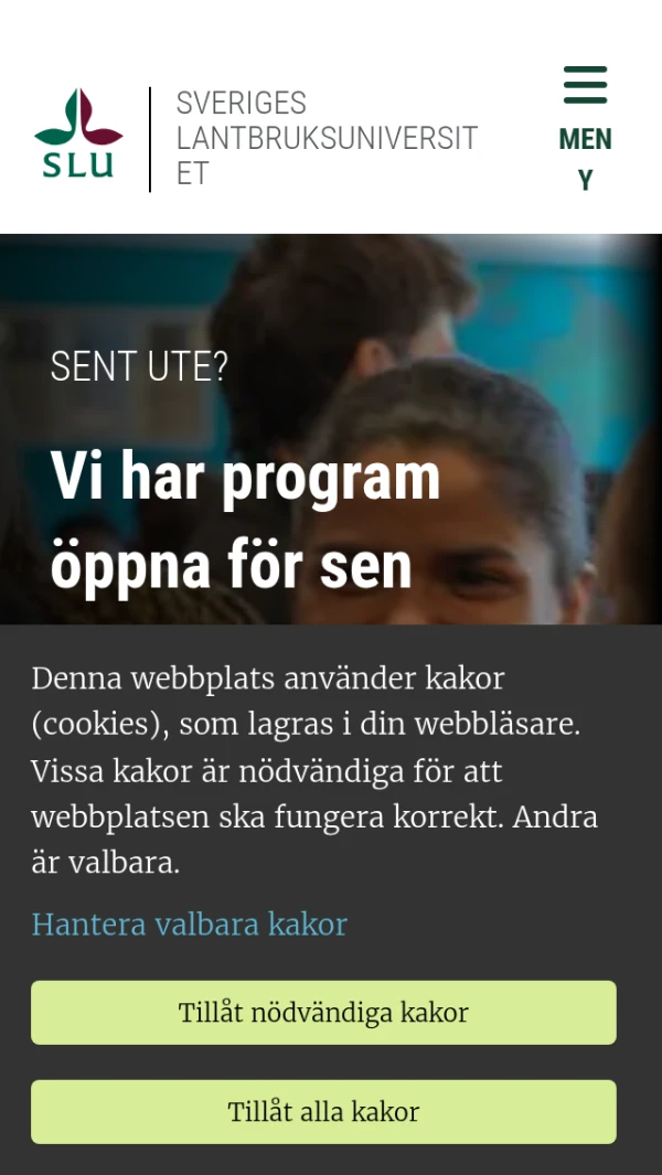 Mobile screenshot