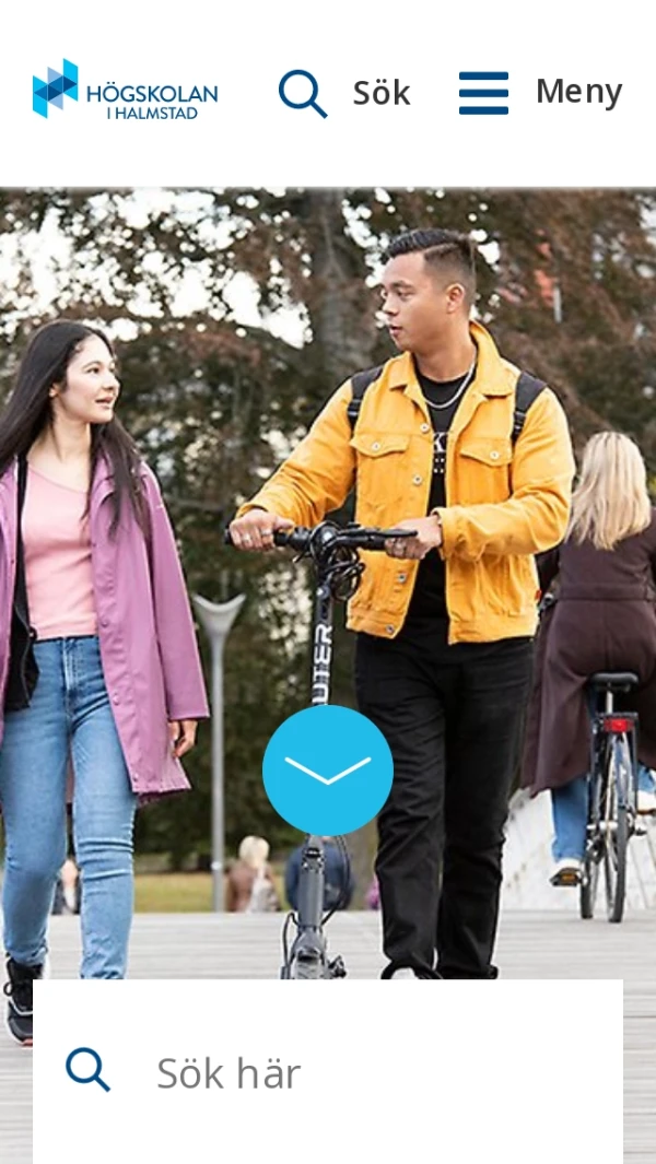 Högskolan i Halmstad Silktide Index