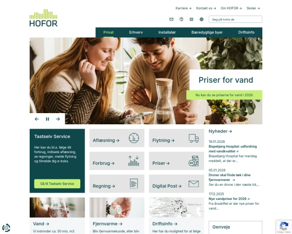 screenshot of Hofor website