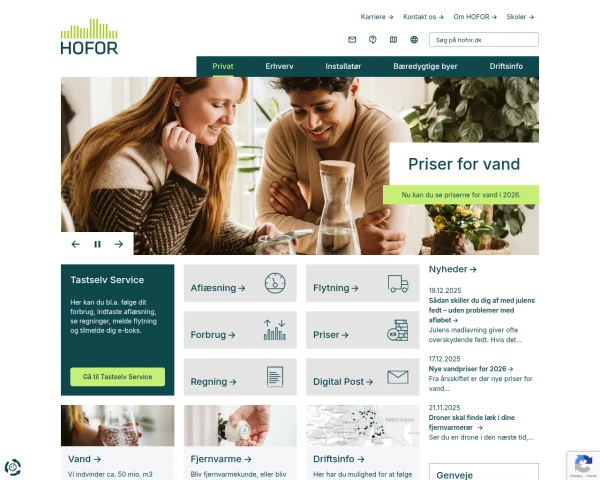 screenshot of Hofor website