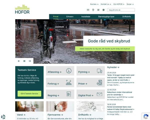 screenshot of Hofor website