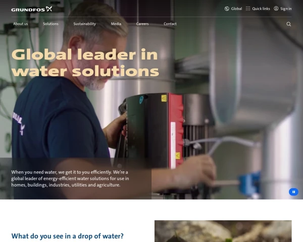 screenshot of Grundfos website