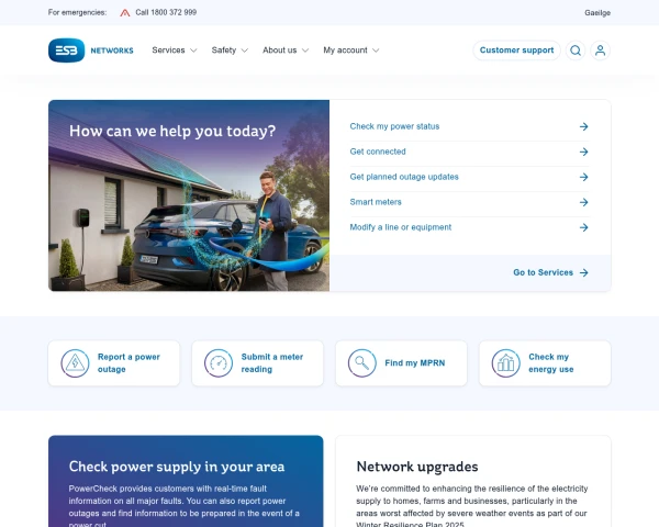 screenshot of ESB Networks website