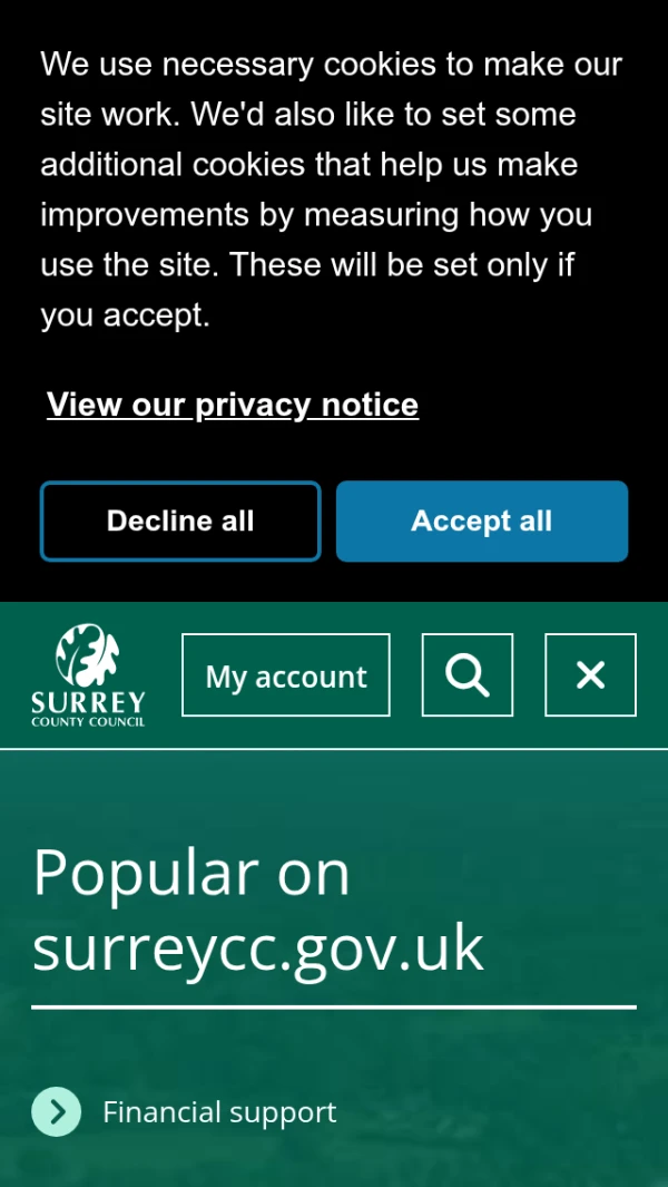 Mobile screenshot