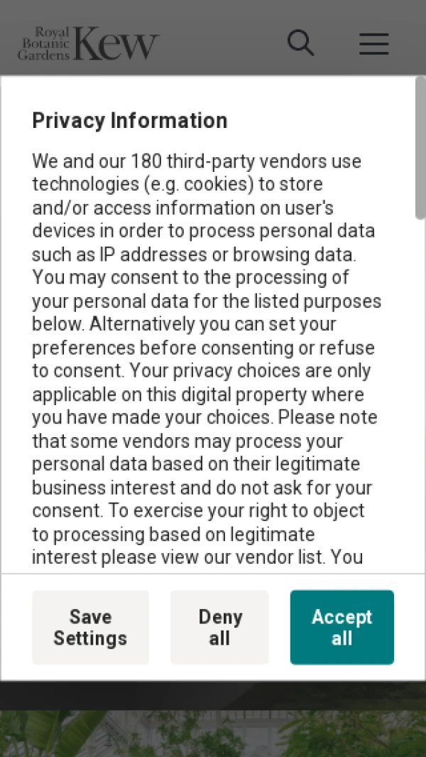 Mobile screenshot