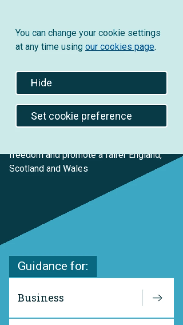 Mobile screenshot