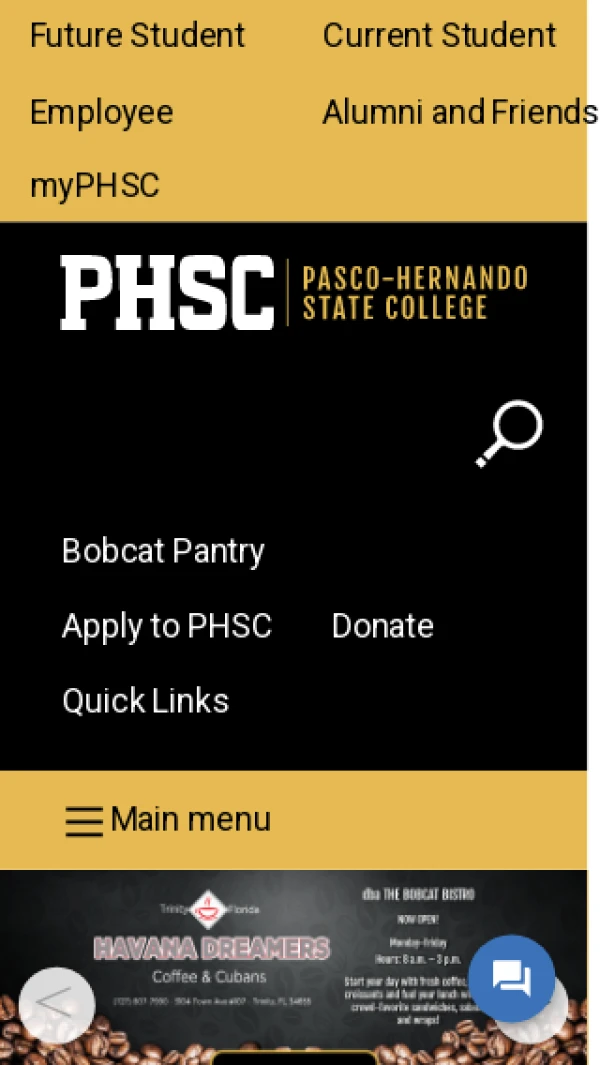 Mobile screenshot