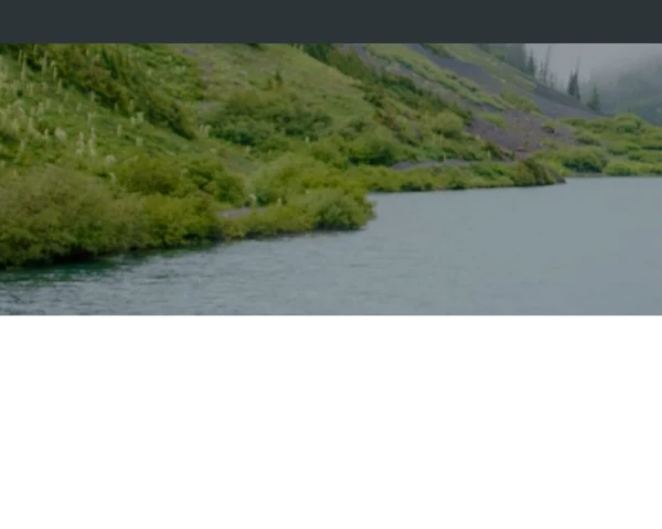 Desktop screenshot