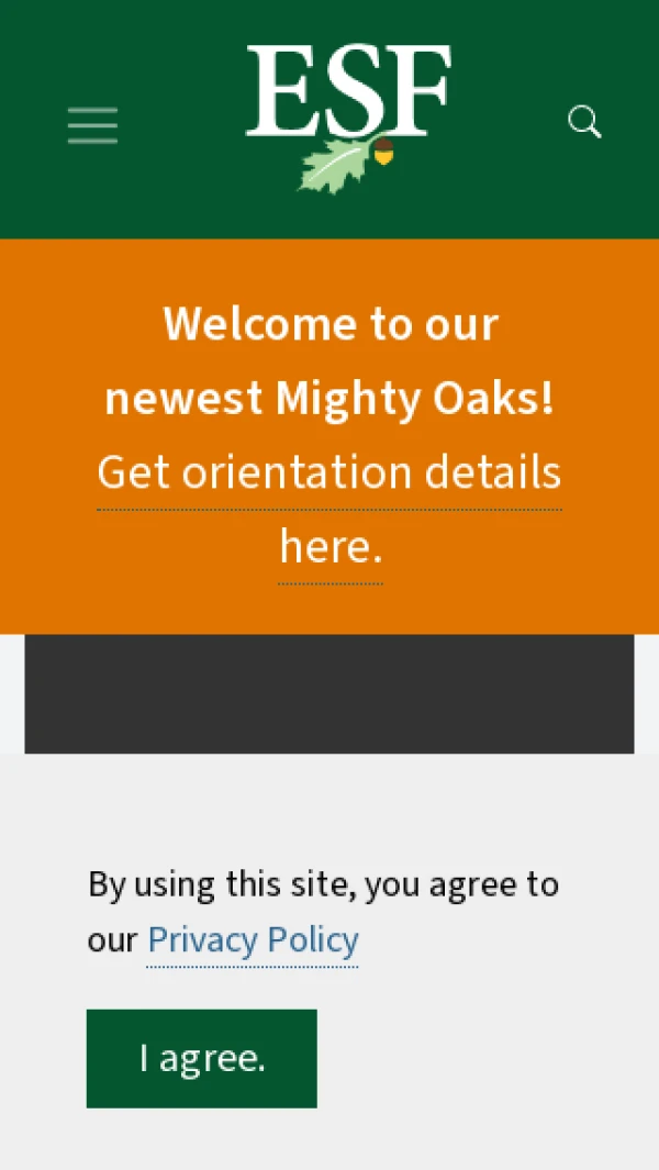 Mobile screenshot