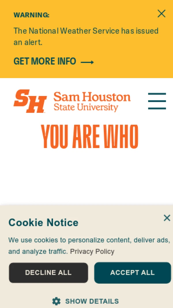 Mobile screenshot