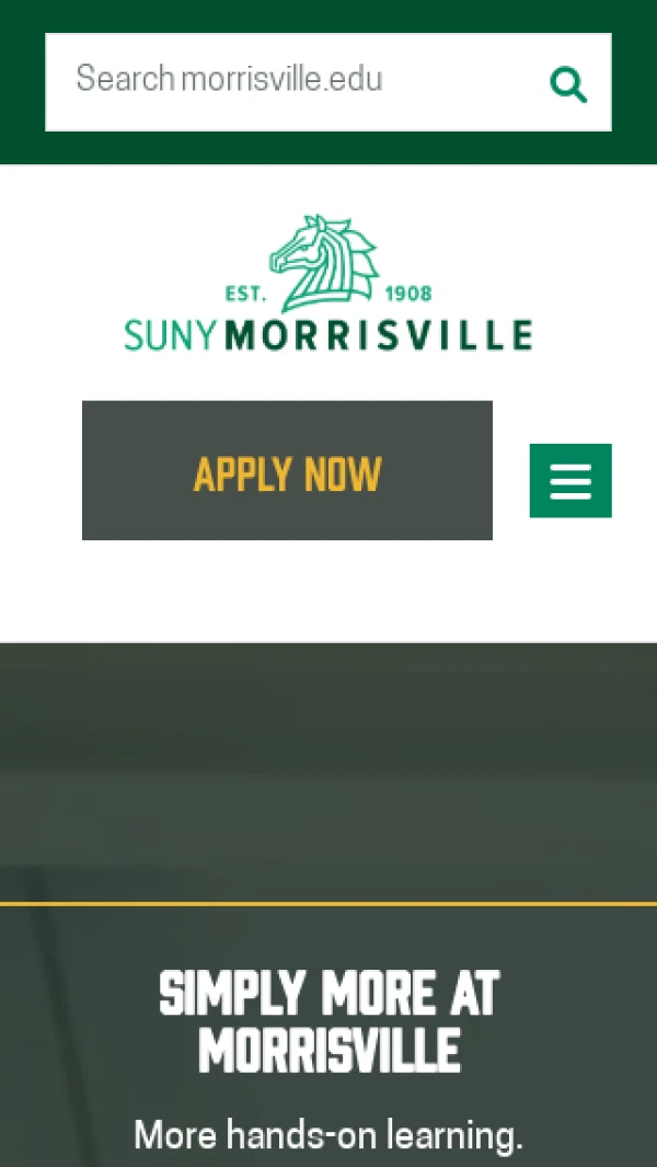 Mobile screenshot