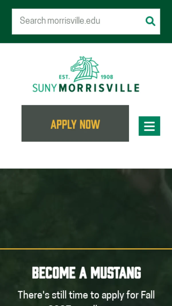 Mobile screenshot